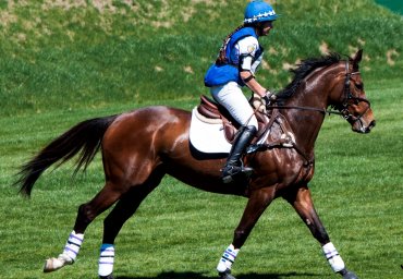 Liverpool International Horse Show 2019 sugoipix